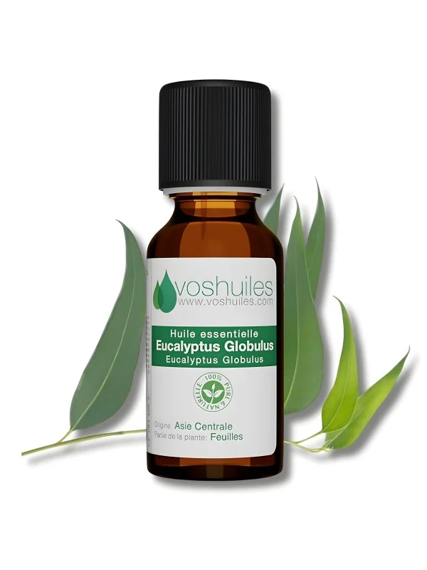 VOSHUILES - HUILE ESSENTIELLE D'EUCALYPTUS GLOBULUS